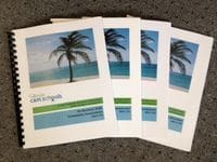 A group of four brochures with palm trees on them.