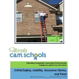 A person on a ladder in front of a house.