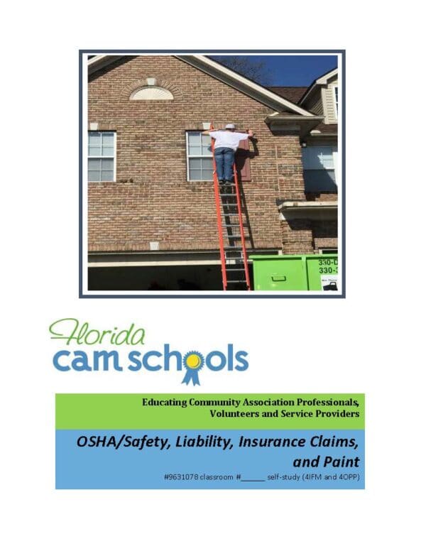 A person on a ladder in front of a house.