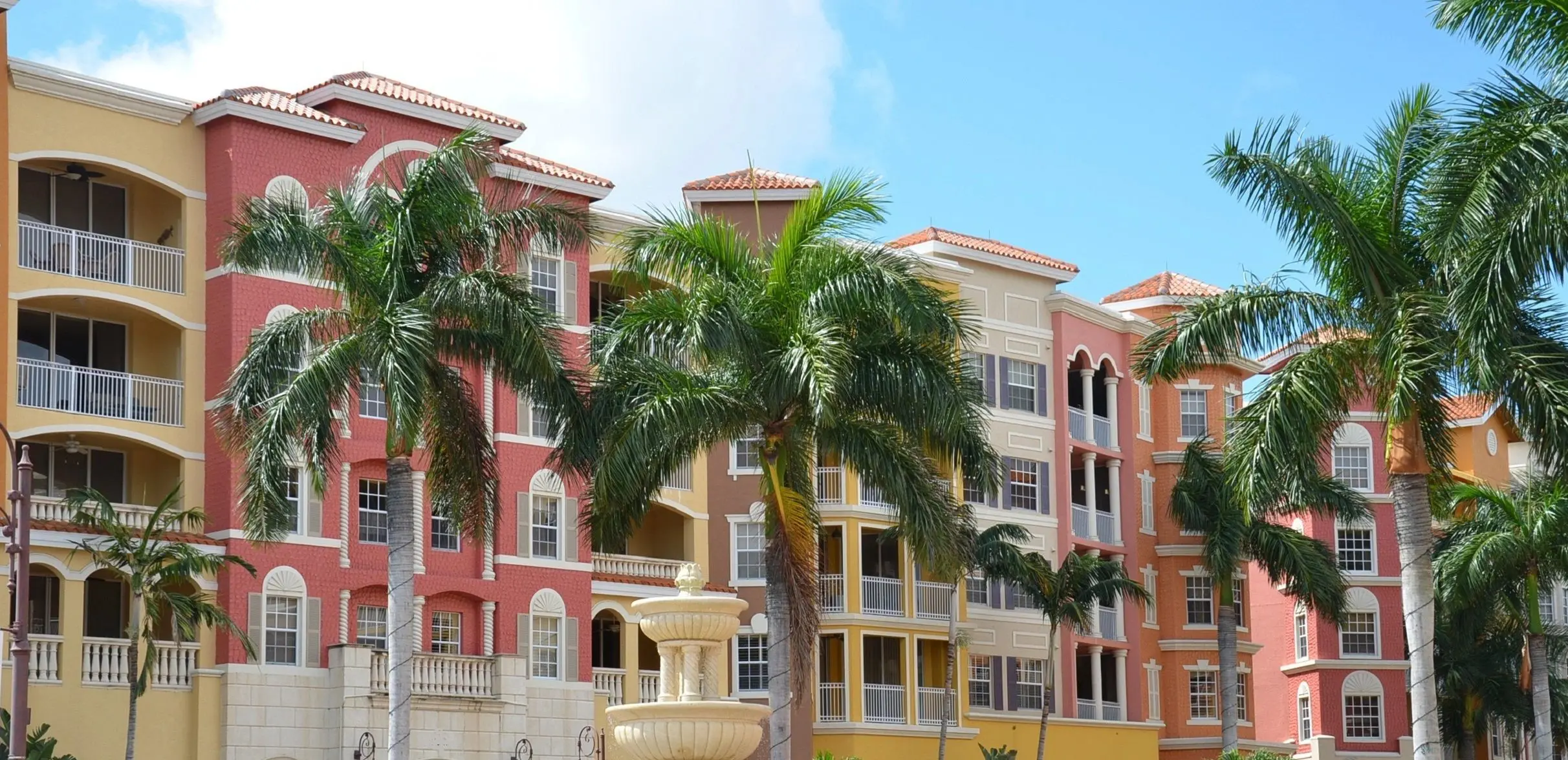 A palm tree in front of some buildings