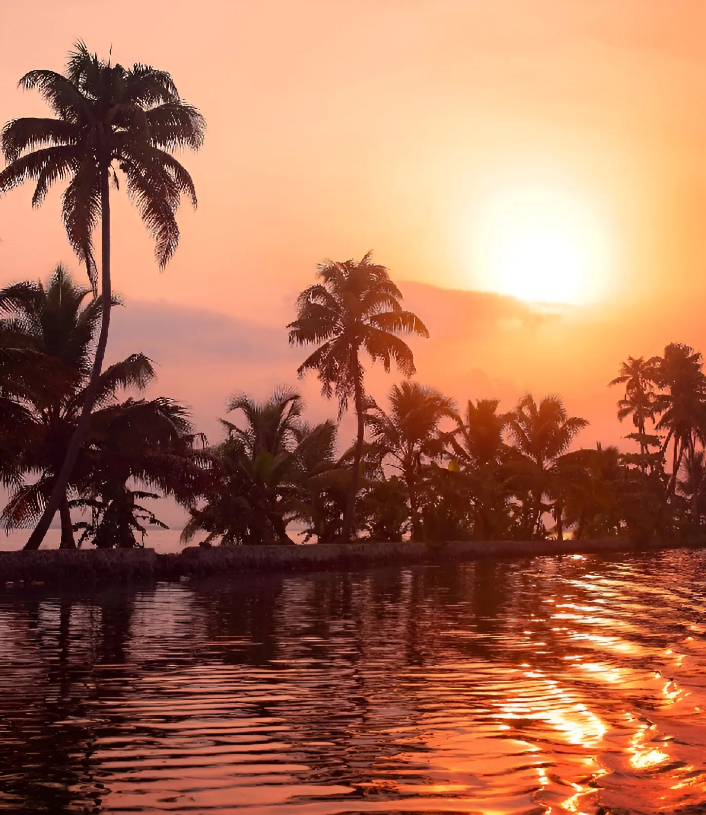 A sunset over the ocean with palm trees.